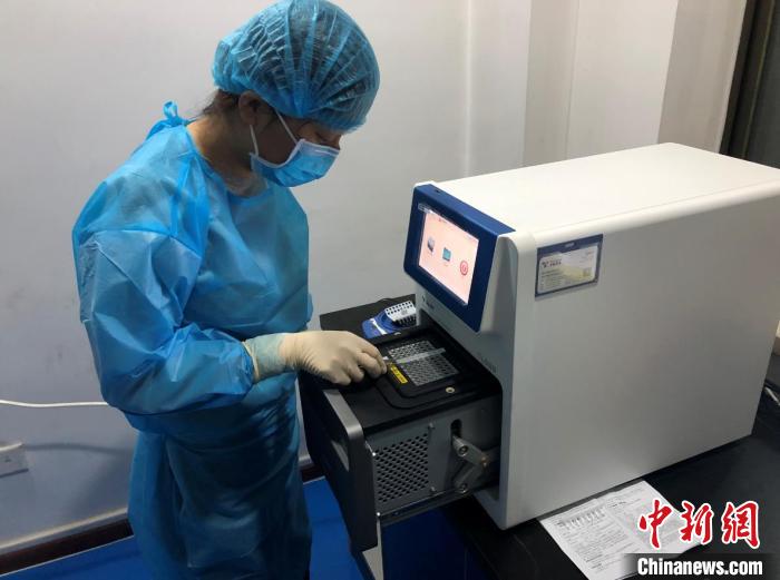 36天，張慧變檢測了826個標本。受訪者供圖