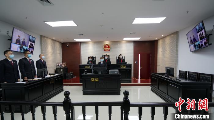 張某某、王某某非法獵捕珍貴、瀕危野生動物案庭審現場。廣東高院供圖