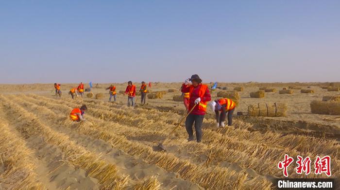 國家重點鐵路工程和若鐵路全面進入復工狀態，并吸納新疆脫貧人員就業增收?！“⒙?？阿力甫 攝